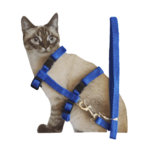 ARNES PARA GATO, azul, celeste, lila ( consultar disponibilidad de colores según stock)
