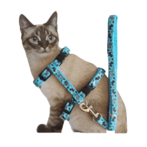 ARNES PARA GATO CON DISEÑO, COLOR CELESTE