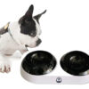 COMEDERO Y BEBEDERO,  PARA GATOS Y PERROS DE  RAZAS PEQUEÑAS (Multifuncional Bowl) - Imagen 2