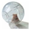 BOLA HAMSTER 14,5 CM DIAMETRO - Imagen 2