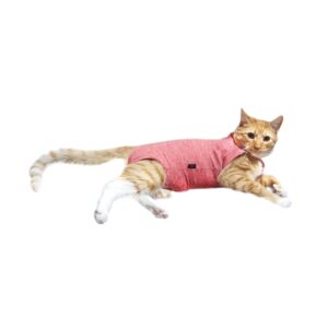 BODY POST OPERATORIO CON PARTICULAS DE NANO COBRE, TALLA 2 PARA GATOS DE 3 A 4,5 KG(color gris dispoible)